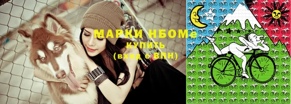 индика Покров