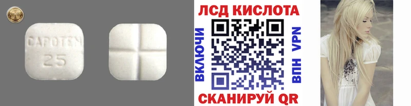 ЛСД экстази ecstasy  MEGA рабочий сайт  Светлогорск 